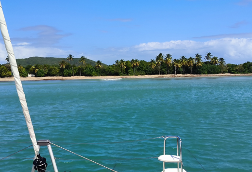 Retour à la marina du Marin