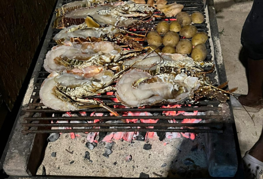 Tortues marines aux Tobago Cays